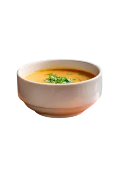 SOUP OF THE DAY