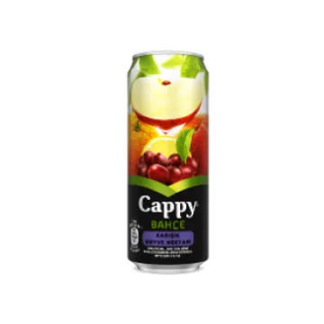 CAPPY MIXED FRUIT JUICE 330 ML
